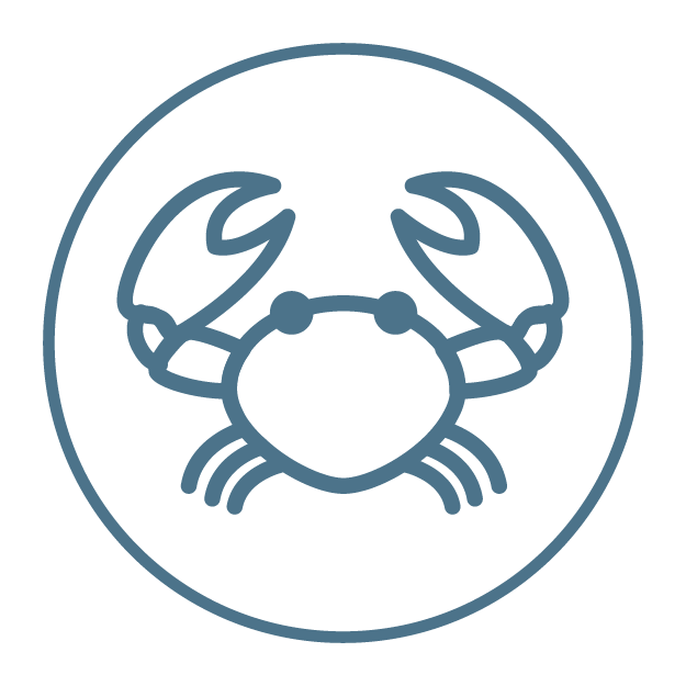 Crab Crab